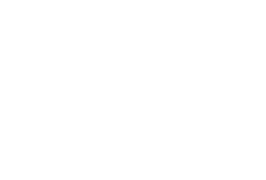 FUEL